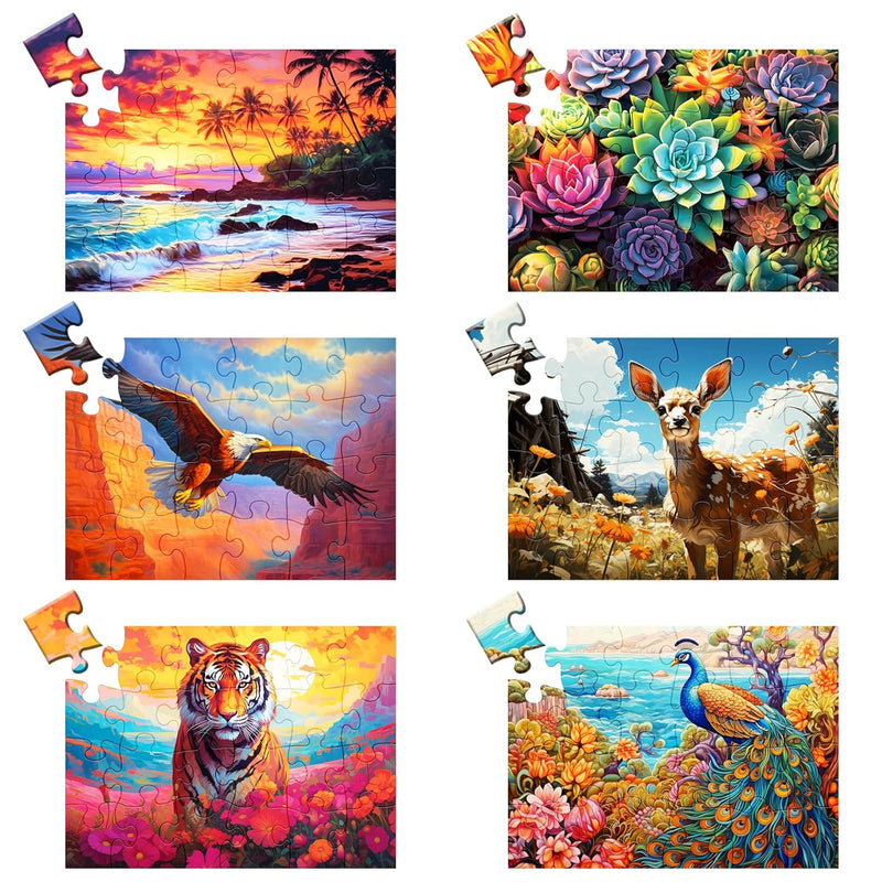 6 Pack 24 Large Piece Puzzles For Seniors Puzzle Dementia Alzheimer'S Produ
