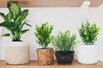 6 Bundles Artificial Greenery Stems Mixed Fake Plants Eucalyptus Rosemary Magnolia Stems Faux Plastic Artificial Plants for Outdoor Indoor Garden Home Window Box Decor