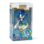 Sonic The Hedgehog Action Figure (Sonic)