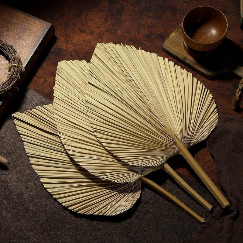 Dried Palm Leaves 4 Pieces 18.1’’ Natural Dried Palm Spears Large Dried Palm F