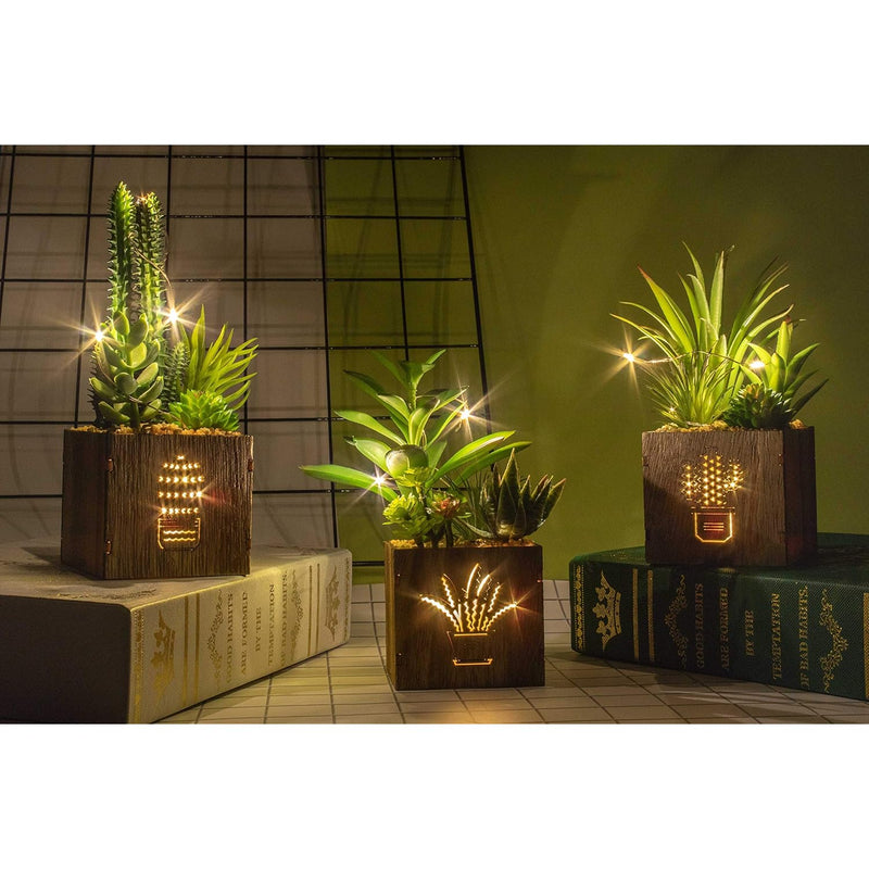 Set Of 3 Artificial Succulents With Led Lights In Wooden Box, Artificial Plant