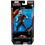 Marvel Legends Series Ant-Man & the Wasp: Quantumania Ant-Man 6" Action Figure