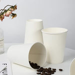 12 Oz White Disposable Paper Cups 300 Pack